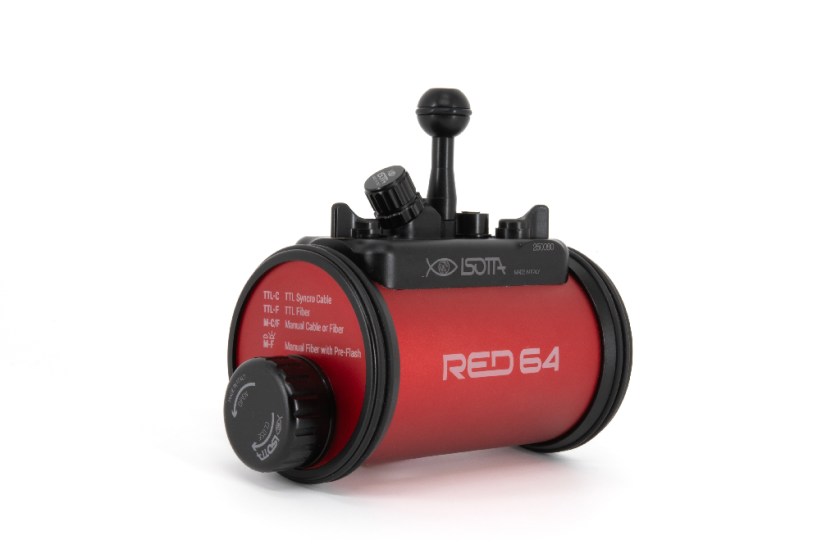 Isotta - Strobe RED64 / Flash RED64