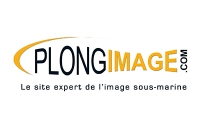 logo Plongimage