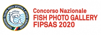 Concorso Nazionale FISH PHOTO GALLERY FIPSAS 2020
