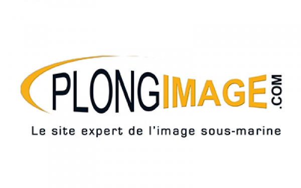 logo Plongimage